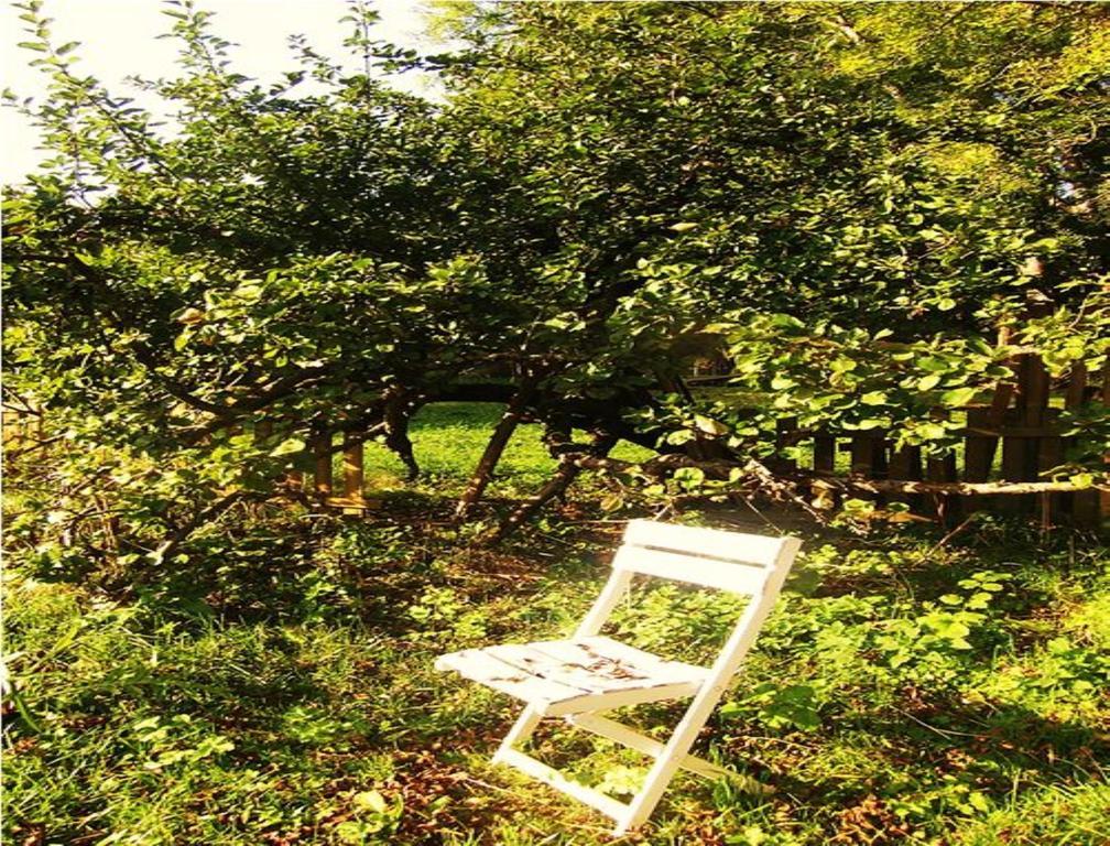 Le Moulin Fleuri Du Petit Appeville Eksteriør billede