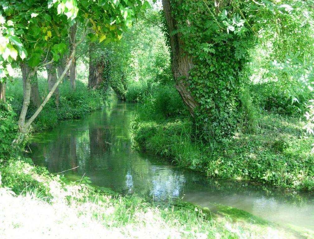 Le Moulin Fleuri Du Petit Appeville Eksteriør billede