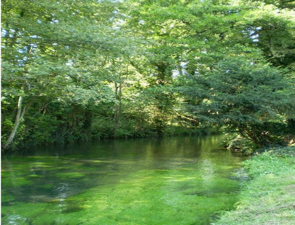 Le Moulin Fleuri Du Petit Appeville Eksteriør billede